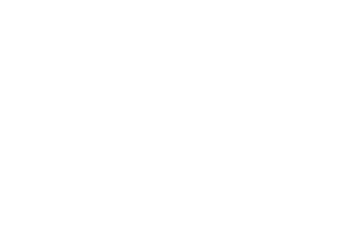 Zumex